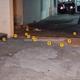 Fotos de Homem e cachorro são baleados em ataque a tiros na noite de domingo, em Maringá