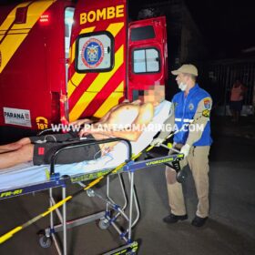 Homem e cachorro são baleados em ataque a tiros na noite de domingo, em Maringá Foto 1 Fotos de Homem e cachorro são baleados em ataque a tiros na noite de domingo, em Maringá
