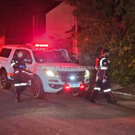 Fotos de Homem e cachorro são baleados em ataque a tiros na noite de domingo, em Maringá