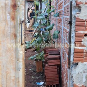 Fotos de Homem é executado com 14 tiros no quintal de uma residência, em Maringá 