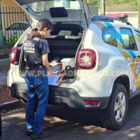 Fotos de Homem é executado com 14 tiros no quintal de uma residência, em Maringá 