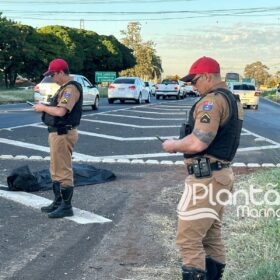Fotos de Homem morre após ser atropelado em Maringá e motorista foge sem prestar socorro 