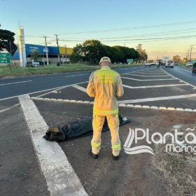 Fotos de Homem morre após ser atropelado em Maringá e motorista foge sem prestar socorro 