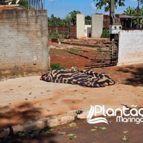 Fotos de Mulher é encontrada morta caída ao lado de motocicleta com marca de tiro no pescoço 