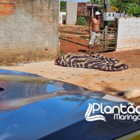 Fotos de Mulher é encontrada morta caída ao lado de motocicleta com marca de tiro no pescoço 