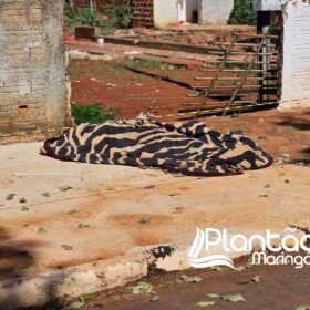 Fotos de Mulher é encontrada morta caída ao lado de motocicleta com marca de tiro no pescoço 