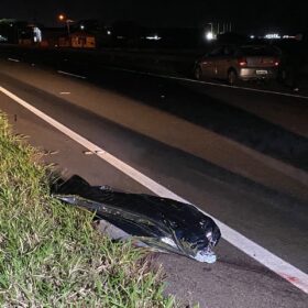 Fotos de Homem morre atropelado na Rodovia PR-323