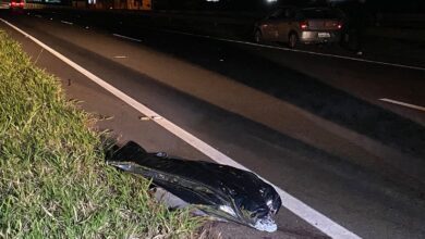 Fotos de Homem morre atropelado na Rodovia PR-323