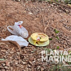 Homem morre durante pescaria no Rio Pirapó entre Maringá e Astorga  Foto 1 Fotos de Homem morre durante pescaria no Rio Pirapó entre Maringá e Astorga