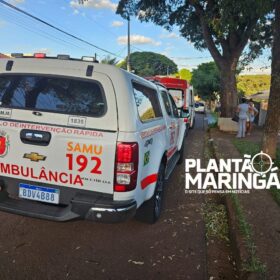 Fotos de Idosa é atacada por cachorro e tem rosto desfigurado em Maringá