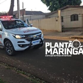 Idosa é atacada por cachorro e tem rosto desfigurado em Maringá Foto 1 Fotos de Idosa é atacada por cachorro e tem rosto desfigurado em Maringá