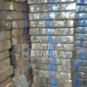 Fotos de Polícia Rodoviária Estadual encontra 'bunker' do tráfico de drogas em Maringá e apreende quase 6 toneladas de maconha
