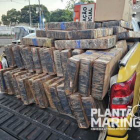 Fotos de Polícia Rodoviária Estadual encontra 'bunker' do tráfico de drogas em Maringá e apreende quase 6 toneladas de maconha
