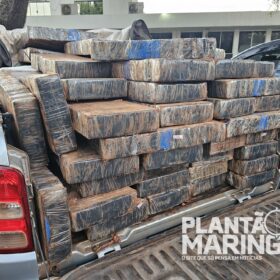 Fotos de Polícia Rodoviária Estadual encontra 'bunker' do tráfico de drogas em Maringá e apreende quase 6 toneladas de maconha