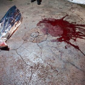 Fotos de Câmera de segurança registra menino de 12 anos sendo executado com tiros na cabeça 