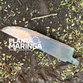 Homem é esfaqueado na praça Raposo Tavares em Maringá Foto 1 Fotos de Homem é esfaqueado na praça Raposo Tavares em Maringá