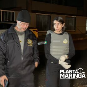 Fotos de Homem que matou amigo a facadas em alojamento se apresenta à polícia em Maringá e alega legítima defesa