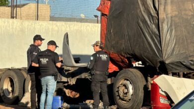 Fotos de Polícia Civil realiza operação contra grupo criminoso envolvido em fraudes contra seguradoras, furtos e receptação em Maringá e região