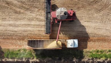 Fotos de 35 cidades do Paraná têm Valor Bruto da Produção Agropecuária superior a R$ 1 bilhão