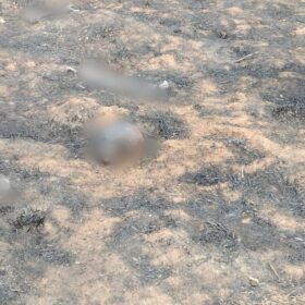 Após incêndio ambiental ossada humana é encontrada na região Foto 1 Fotos de Após incêndio ambiental ossada humana é encontrada na região