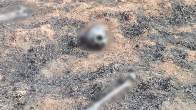 Fotos de Após incêndio ambiental ossada humana é encontrada na região 