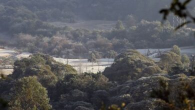 Fotos de Até quando vai o frio em Maringá e no Paraná? Veja a previsão do tempo
