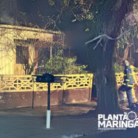 Fotos de Duas casas são destruídas pelo fogo após morador trocar lâmpada em Maringá; VÍDEO