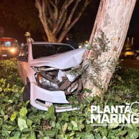 Fotos de Duas pessoas ficam feridas após carro bater em árvore em Maringá 