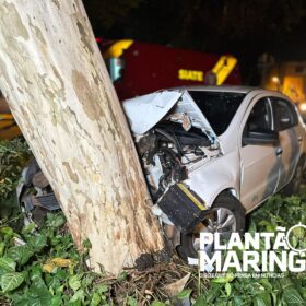 Fotos de Duas pessoas ficam feridas após carro bater em árvore em Maringá 