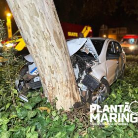 Fotos de Duas pessoas ficam feridas após carro bater em árvore em Maringá 