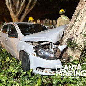Fotos de Duas pessoas ficam feridas após carro bater em árvore em Maringá 