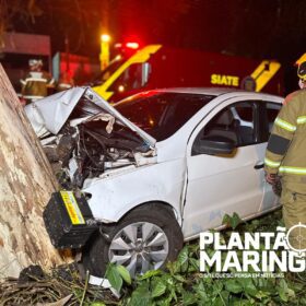 Fotos de Duas pessoas ficam feridas após carro bater em árvore em Maringá 