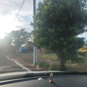 Moradores denunciam prefeitura por corte de árvores em Ângulo para evento festivo Foto 3 Fotos de Moradores denunciam prefeitura por corte de árvores em Ângulo para evento festivo