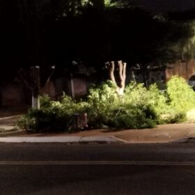 Moradores denunciam prefeitura por corte de árvores em Ângulo para evento festivo Foto 6 Fotos de Moradores denunciam prefeitura por corte de árvores em Ângulo para evento festivo