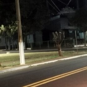 Moradores denunciam prefeitura por corte de árvores em Ângulo para evento festivo Foto 7 Fotos de Moradores denunciam prefeitura por corte de árvores em Ângulo para evento festivo