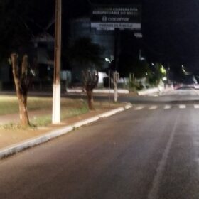 Moradores denunciam prefeitura por corte de árvores em Ângulo para evento festivo Foto 9 Fotos de Moradores denunciam prefeitura por corte de árvores em Ângulo para evento festivo