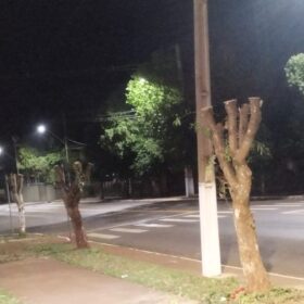 Moradores denunciam prefeitura por corte de árvores em Ângulo para evento festivo Foto 10 Fotos de Moradores denunciam prefeitura por corte de árvores em Ângulo para evento festivo