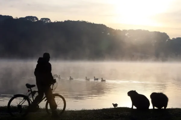 Segunda-feira será de tempo estável e bastante frio no Paraná; veja os detalhes da previsão do tempo Foto 2 Fotos de Segunda-feira será de tempo estável e bastante frio no Paraná; veja os detalhes da previsão do tempo
