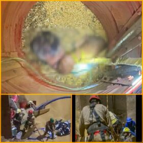 Após oito horas de resgate trabalhador soterrado por soja é salvo pelo Corpo de Bombeiros e Samu em Maringá; veja o vídeo Foto 1 Fotos de Após oito horas de resgate trabalhador soterrado por soja é salvo pelo Corpo de Bombeiros e Samu em Maringá; veja o vídeo