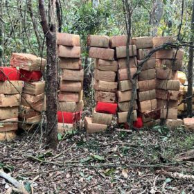 Com 326 toneladas, Paraná lidera apreensão de drogas no Brasil em 2024 Foto 1 Fotos de Com 326 toneladas, Paraná lidera apreensão de drogas no Brasil em 2024