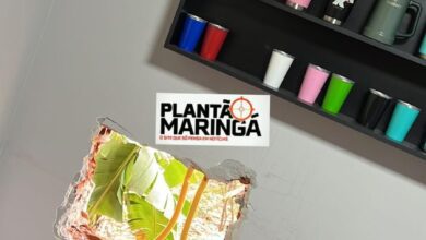 Fotos de Criminosos furtam loja após abrir buraco na parede em Maringá