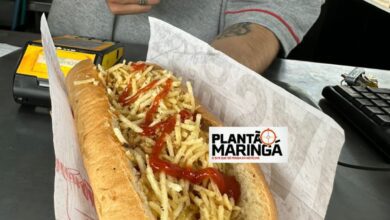 Fotos de Empresa distribui 3 mil cachorros-quentes gratuitamente em Maringá