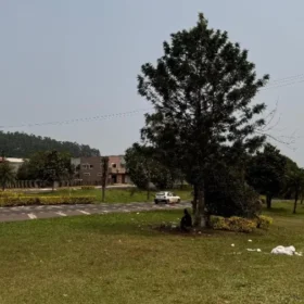 Indígena de 22 anos é encontrada caída com sinais de estupro coletivo na BR-277 Foto 1 Fotos de Indígena de 22 anos é encontrada caída com sinais de estupro coletivo na BR-277