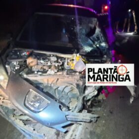 Motociclista morre após grave acidente na PR-463 na região de Maringá Foto 1 Fotos de Motociclista morre após grave acidente na PR-463 na região de Maringá