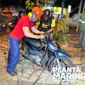 Fotos de Mulher em moto é socorrida com traumatismo craniano após queda de árvore em Maringá, outros cinco carros foram atingidos