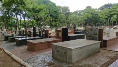 Fotos de Obituário: veja lista de falecimentos, em Maringá e regiã