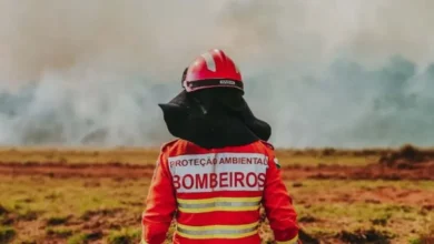 Fotos de Bombeiros registram quatro incêndios ambientais criminosos em Maringá