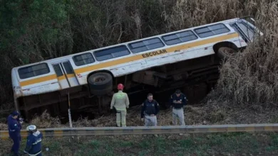 Fotos de Ônibus com mais de 20 crianças tomba na BR 277