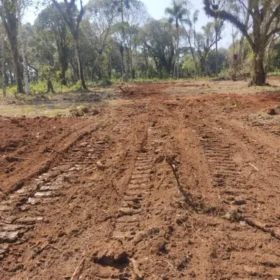 Proprietário rural é multado em mais de R$ 30 mil por danos Foto 1 Fotos de Proprietário rural é multado em mais de R$ 30 mil por danos