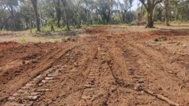 Fotos de Proprietário rural é multado em mais de R$ 30 mil por danos